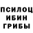 Псилоцибиновые грибы Psilocybe Jack Willis